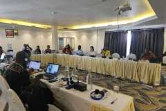 support-group-on-FoAA-rights-of-the-ACHPR_221023_3